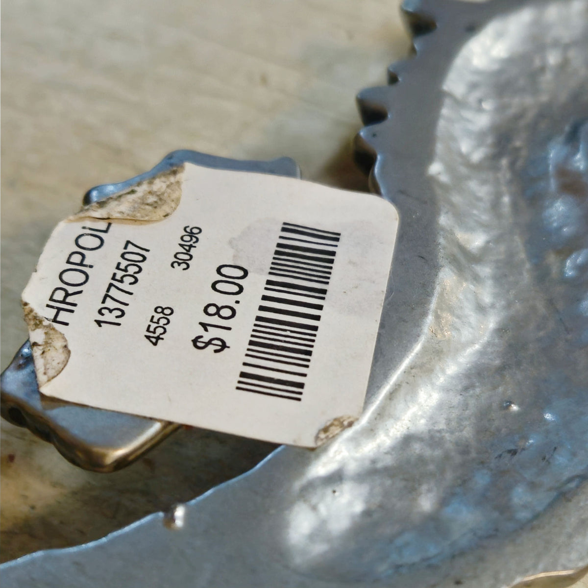 NWT Anthropologie Seahorse Wall Hook