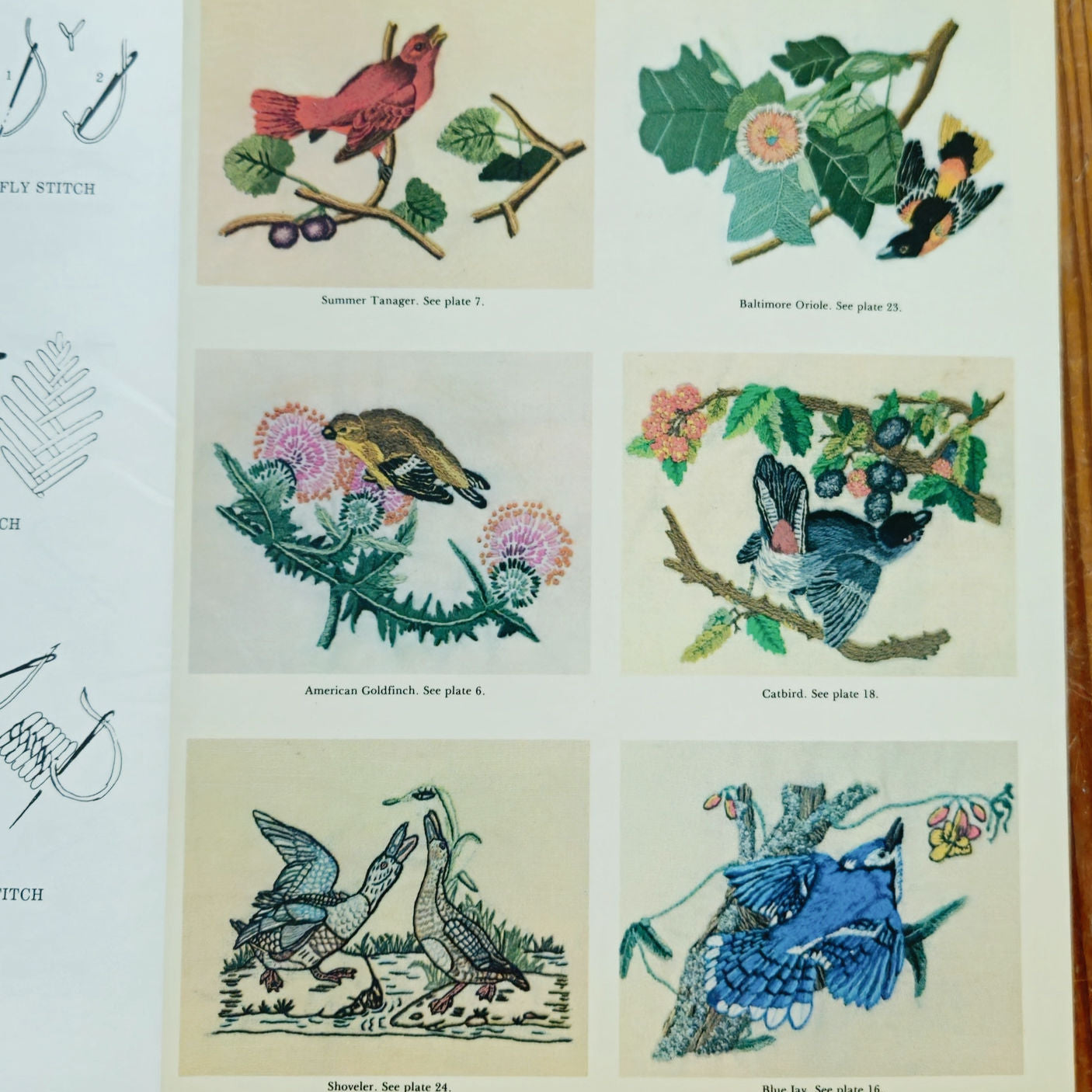 1979 Dover Audubon Birds Embroidery Book