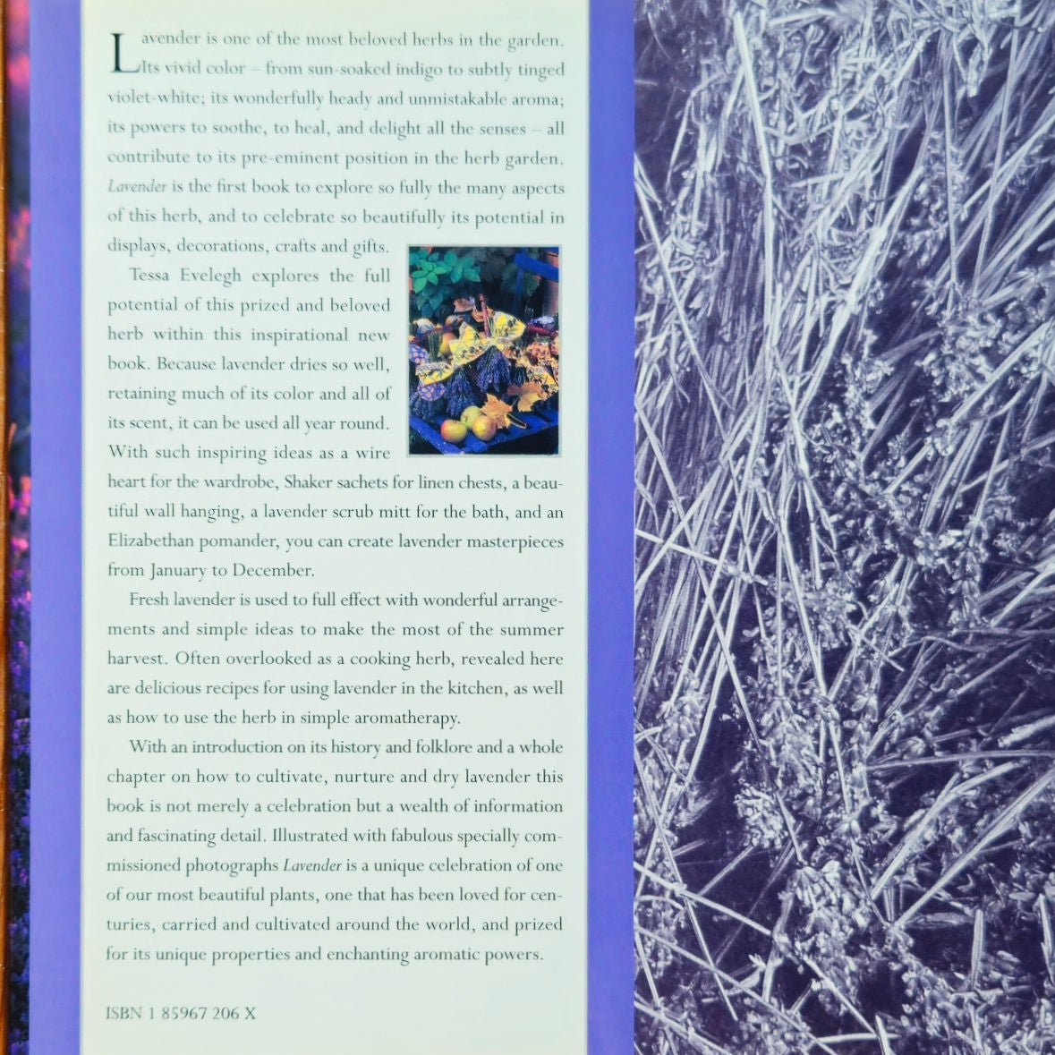 1996 Lavender Hardcover Book by Tessa Evelegh | Vintage Gardening and Crafts