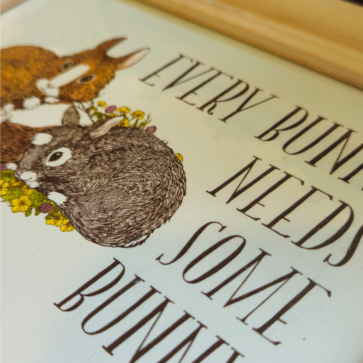 “Every Bunny Needs Some Bunny” Framed Bunny Print