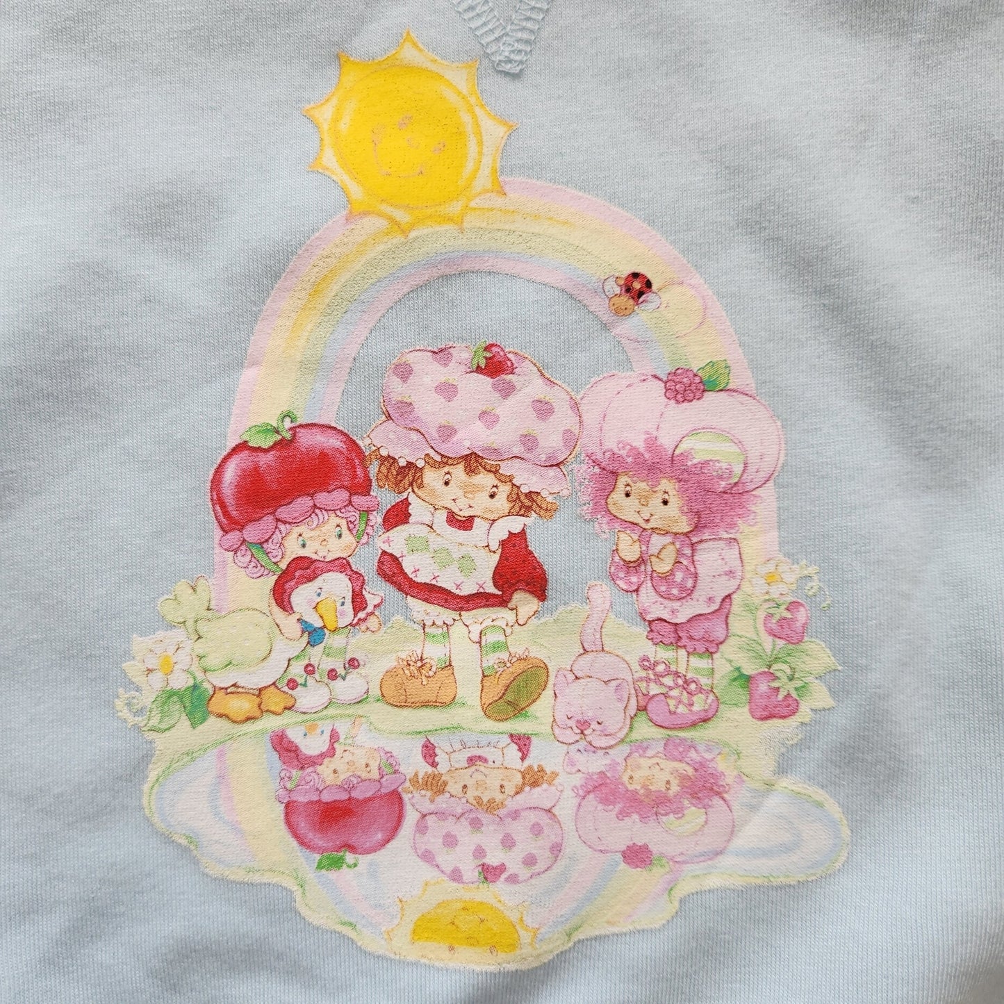 Strawberry Shortcake Kids Crewneck Sweatshirt NWT – Light Blue