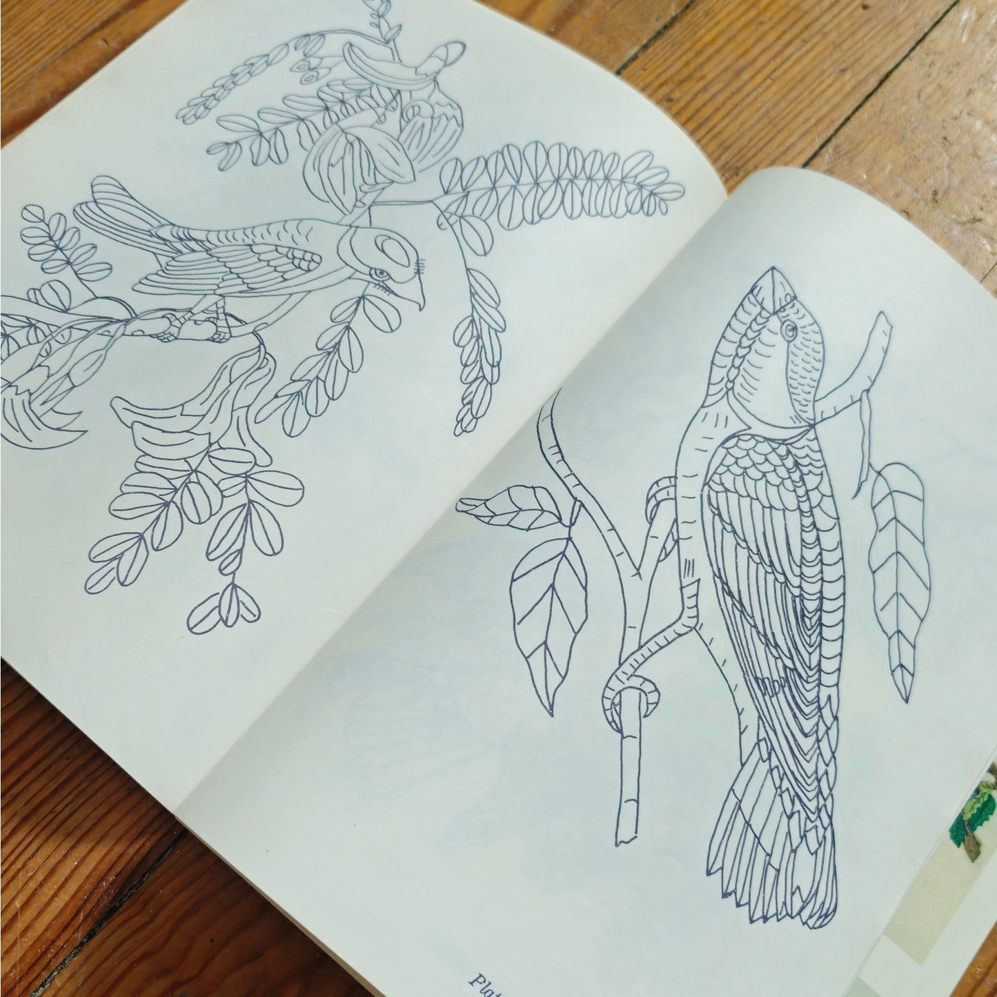 1979 Dover Audubon Birds Embroidery Book
