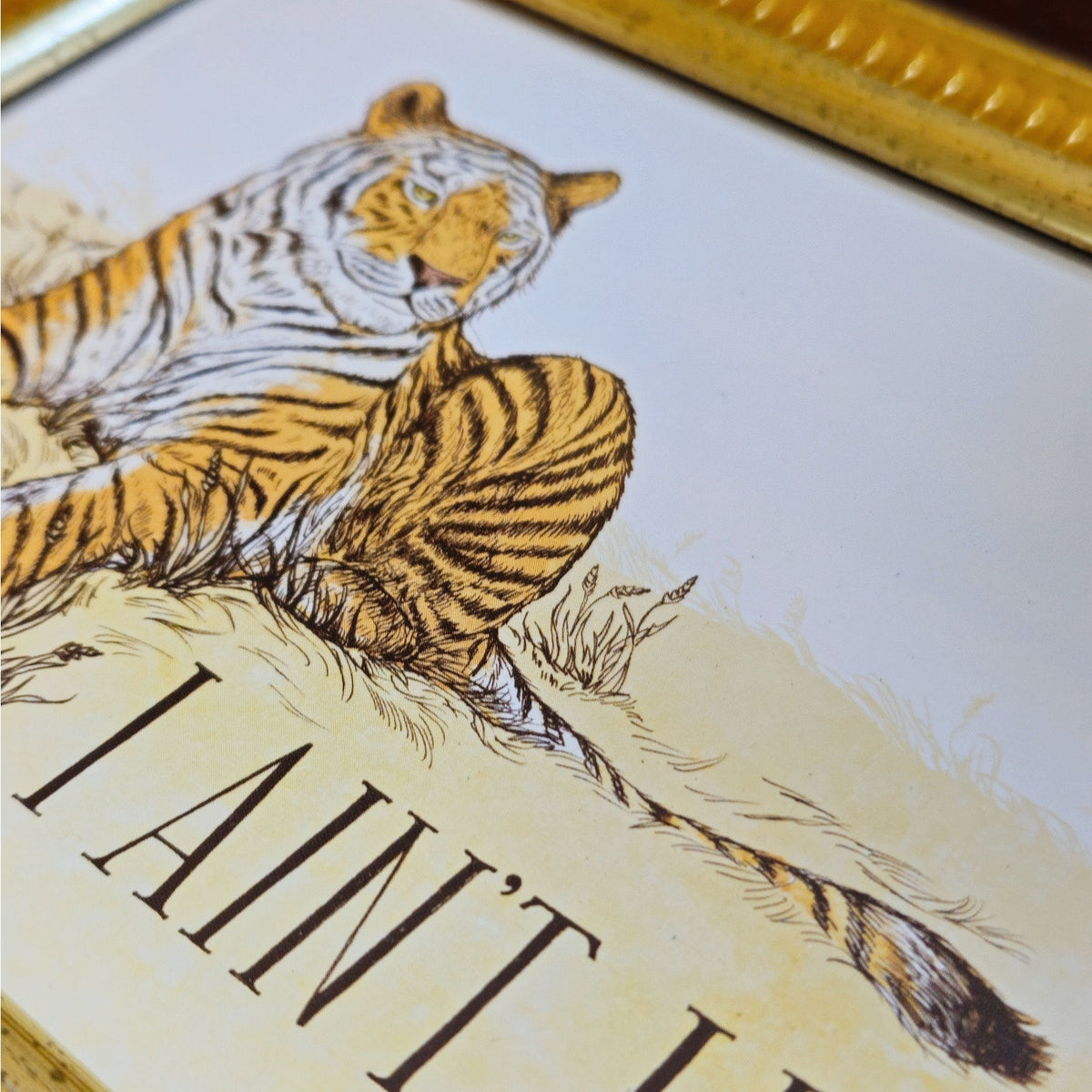 I Ain’t Lion Tiger Framed Print