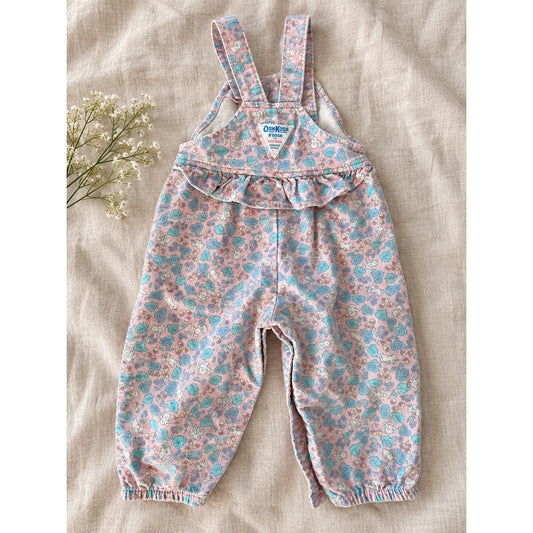 1980s OshKosh B’Gosh Vestbak Overalls | 18M